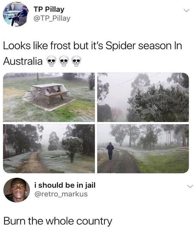 Omfg!  BURN IT ALL!  #Burn #BurnItAll #XZEmpire #XZAnimals #Spiders #Spiderman #Spiderverse #Australia