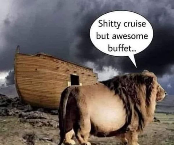 Ah heck, I don’t think this is what Noah had in mind!  #Animals #Cats #catstagram #Catsofinstagram #catsfacebook #Furbaby #Furbabies #Pets #Petstagram    #XZEmpire #XZAnimals #NoahsArk #Ark